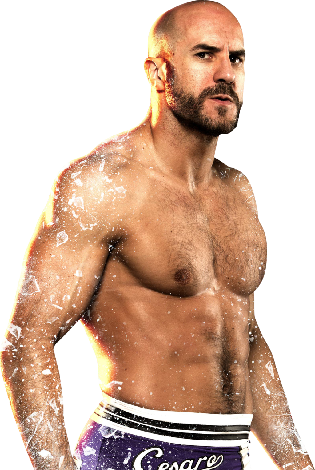 Cesaro Transparent Background Png - Wwe Cesaro 2017 Png (1024x1527), Png Download