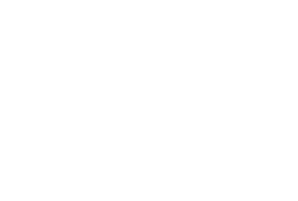 logo adidas white