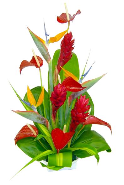 Hana Tropical Hawaiian Flowers Bouquet Home Hana Tropical - Flower (600x600), Png Download
