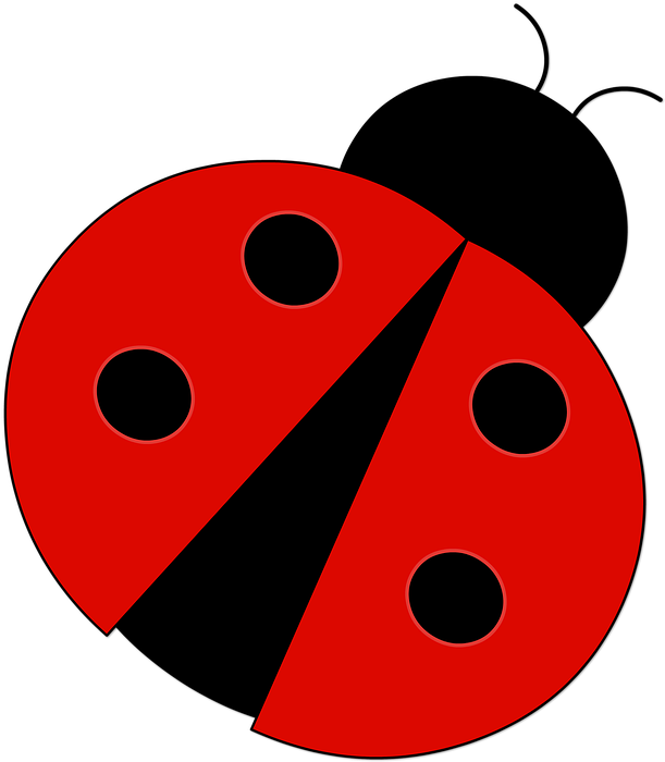 Red Ladybug Png Pic - Beruška Kreslená Beruška (634x720), Png Download