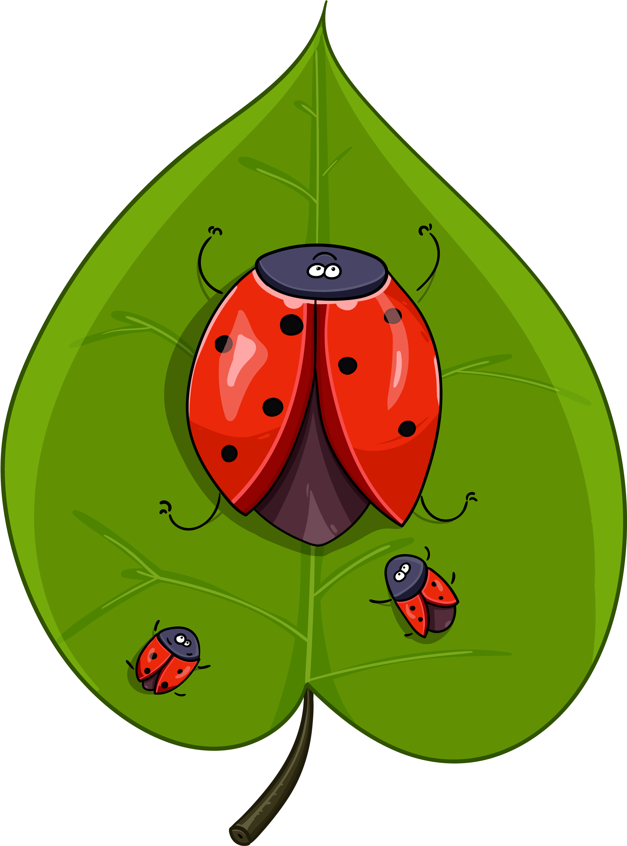 Funny Ladybugs - Ladybird Beetle (3000x3000), Png Download