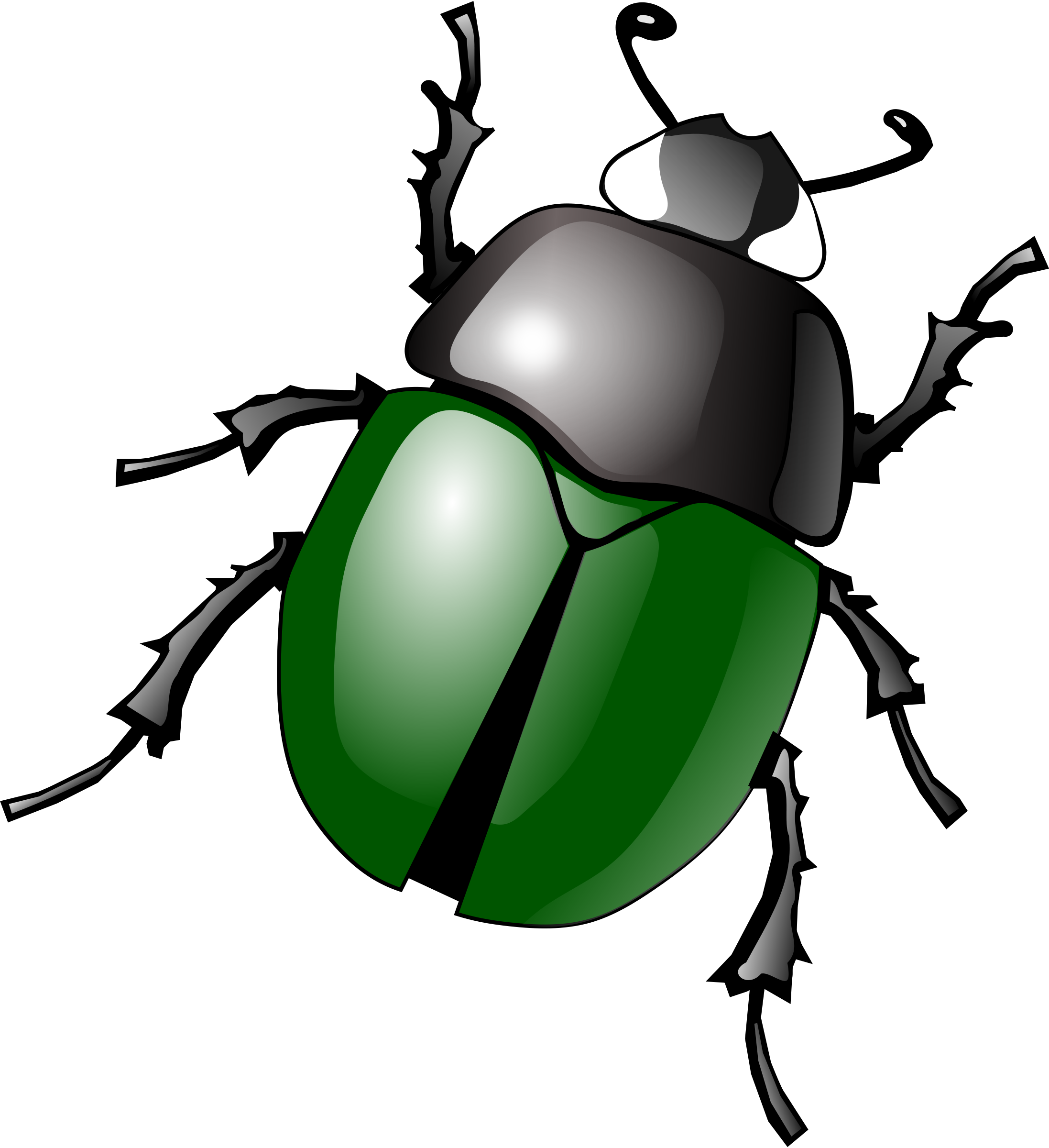 Download Png Image Bug (2194x2400), Png Download