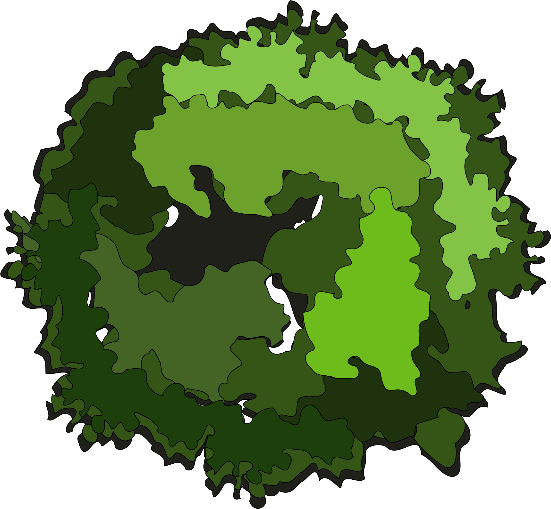 Jpg Royalty Free Library Clipart Big Image Png - Tree Clipart Top View Png (2400x2400), Png Download