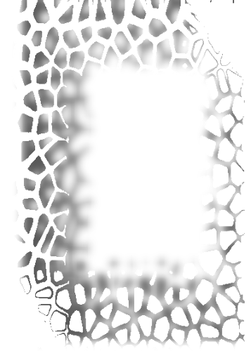 Photo Light Effects - Photography (357x500), Png Download