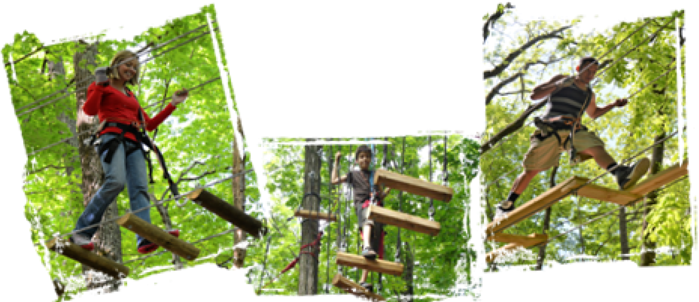 Explore Sevierville, Tn - Tree (1680x610), Png Download