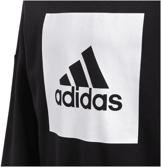 Adidas Logo Png Download - Adidas Men's Backpack Size One Size White (560x581), Png Download