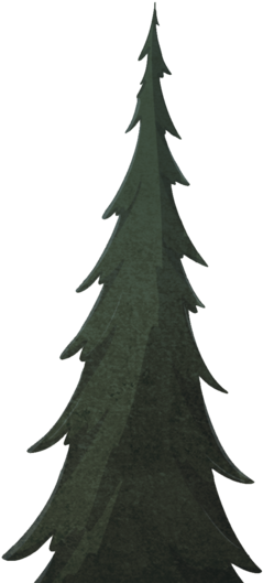 Treetop - Portable Network Graphics (1000x563), Png Download