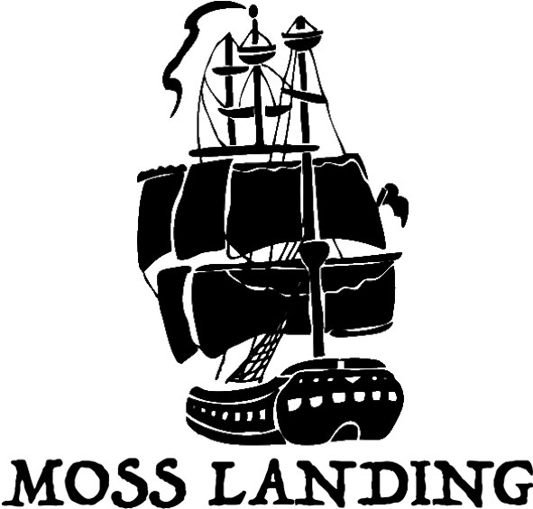 Book Now 591-4049 - Pirate Vector (600x575), Png Download