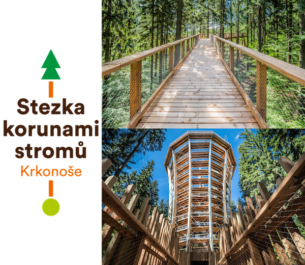 Tree Top Walkway In The Krkonoše Mountains - Canopy Walkway (600x520), Png Download