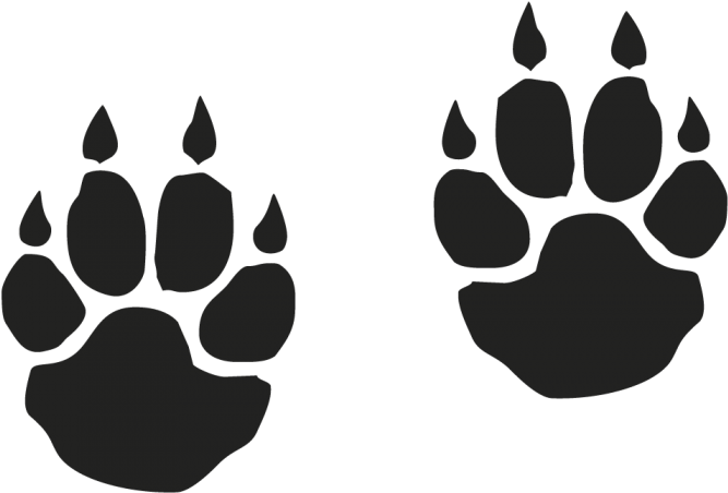 Free Download Tiger Paw Print With Claws Clipart Tiger - Saber Tooth Tiger Footprint (700x485), Png Download