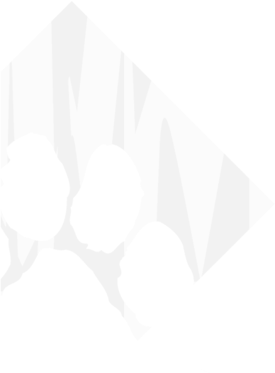 Tigerpaw Logo Back 2 - Tigerpaw Software (845x684), Png Download