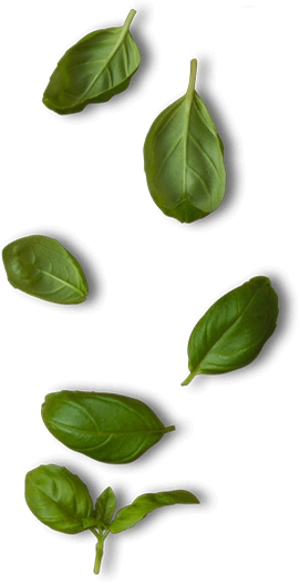 Back To Top - Spinach (271x528), Png Download