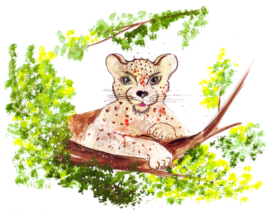 Hand Drawing A Watercolor A Cheetah - Drawing (550x434), Png Download