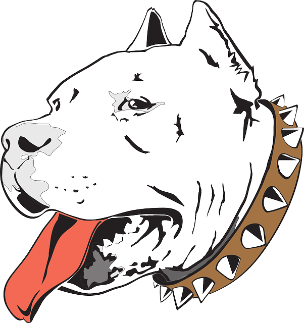 Pitbull Dog Head Png Picture Download - Desenho De Pitbull (602x640), Png Download