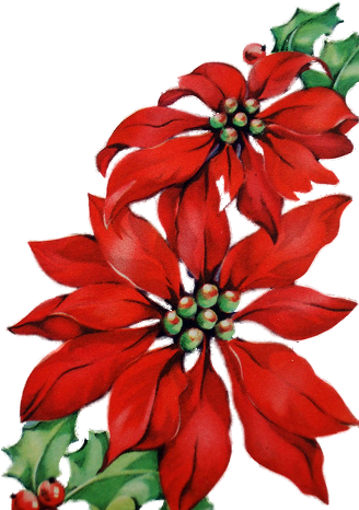 4031212678 E275ee13d1 353×471 Pixels - Drawing (353x471), Png Download