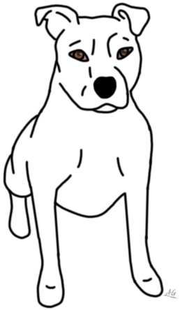 Picture - Medicine (339x452), Png Download