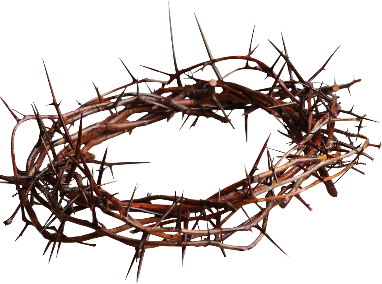 Share This - - Black Crown Of Thorns (1280x911), Png Download