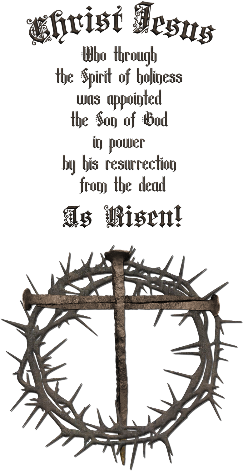 Nail Cross With Crown Clipart - Crown Of Thorns And Cross (800x1600), Png Download