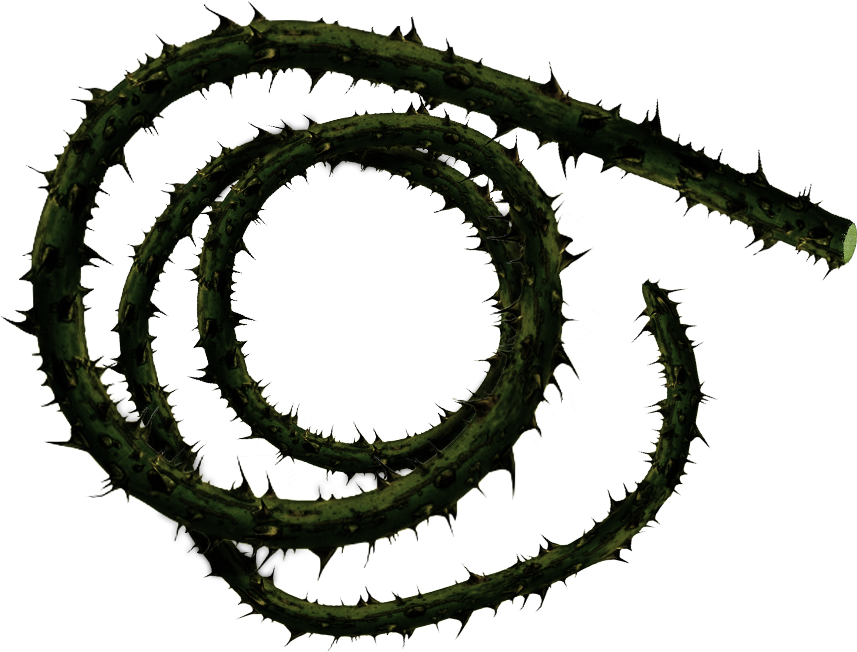 The Corpse Carrier Wields Creeping Death, A 10ft Long - Drawing (1920x2080), Png Download