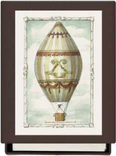 Hot Air Balloon (440x440), Png Download