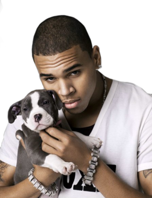 The Goochman Did It Again - Chris Drown (308x400), Png Download