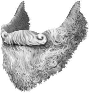 Goatee Png Santa Claus Beard Png 10578 - Barba Branca Png (450x447), Png Download