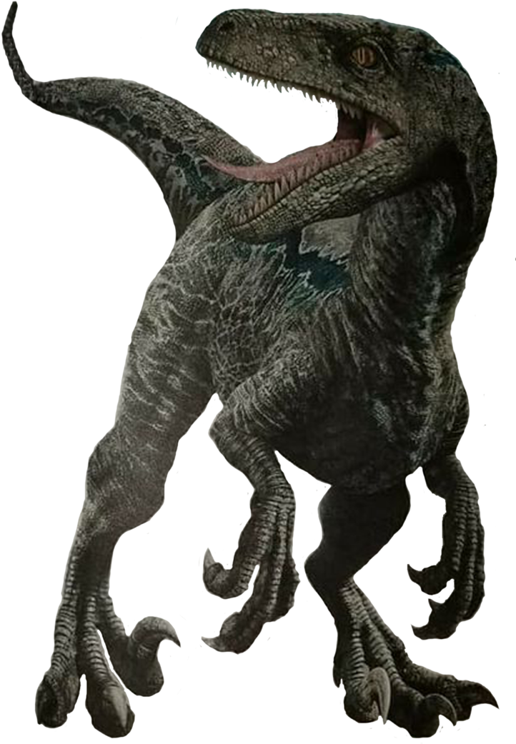 Unused Velociraptor Render By Kingrexy-dci8cb0 (738x1082), Png Download