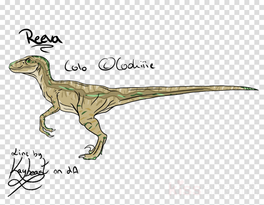 Velociraptor Clipart Velociraptor Majungasaurus Carnotaurus - Carnotaurus (900x700), Png Download