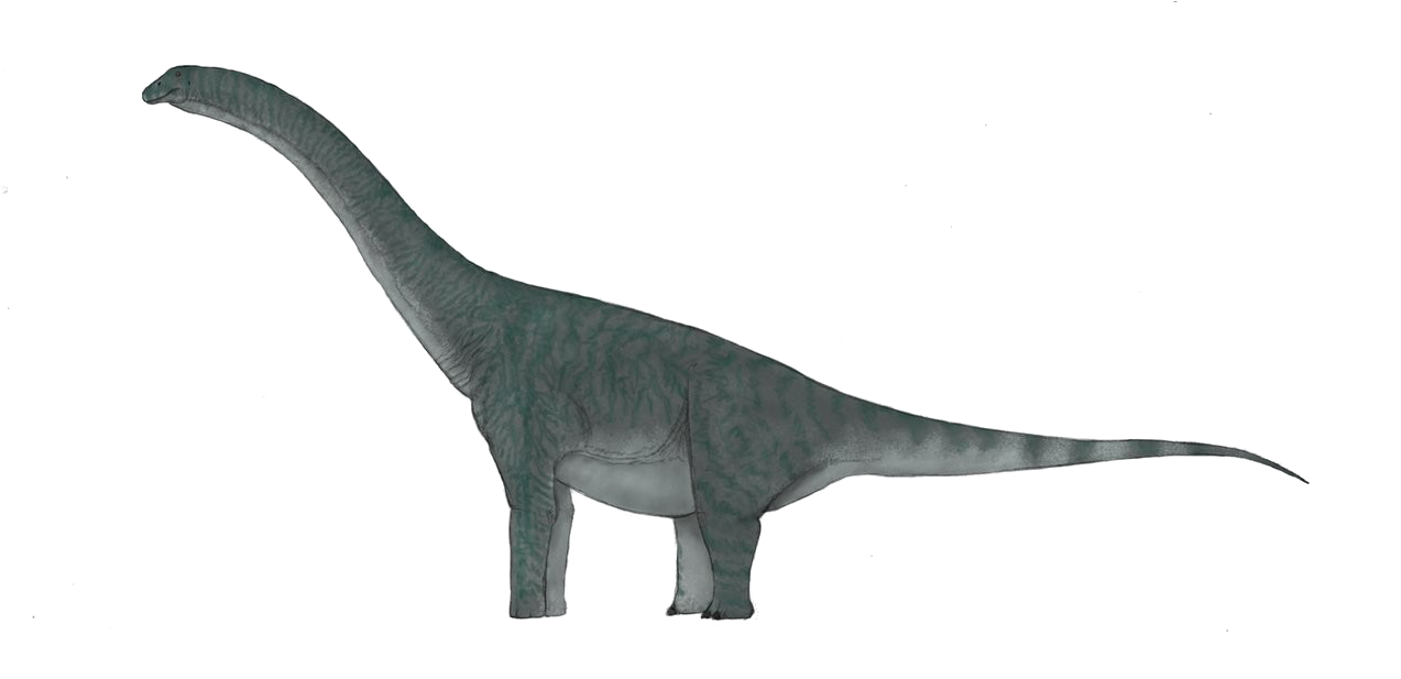 Sauropod Background Png (1290x620), Png Download