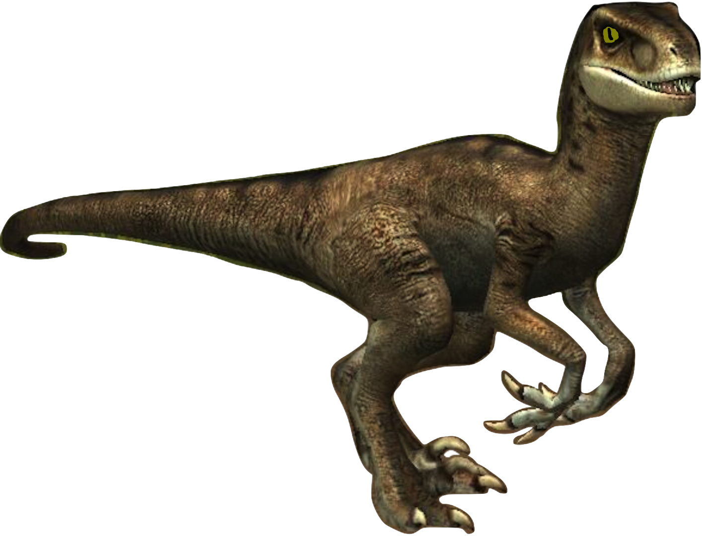 Donna The Velociraptor - Velociraptor (1414x1080), Png Download