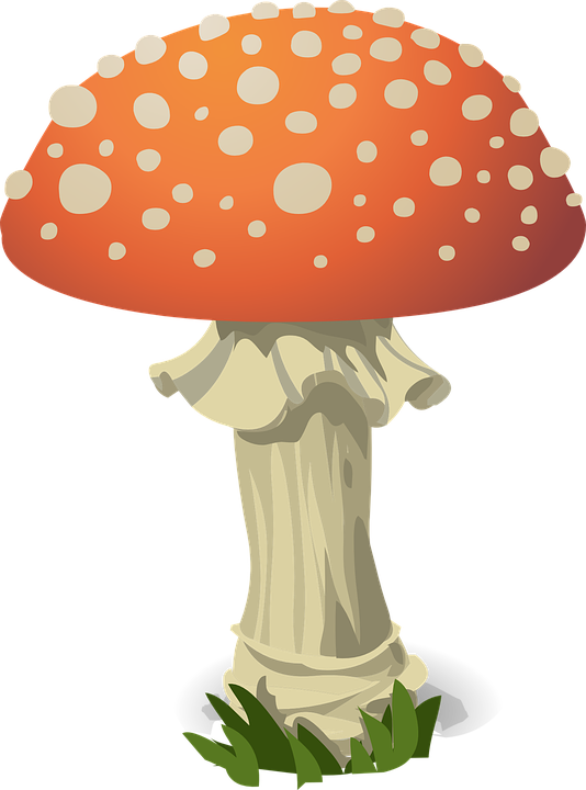 Amanita Muscaria Png Photo - Umbrella Critters Clipart With Transparent Backgrounds (534x720), Png Download