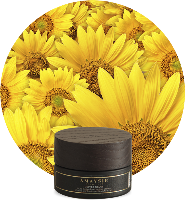 Velvet Glow (700x800), Png Download