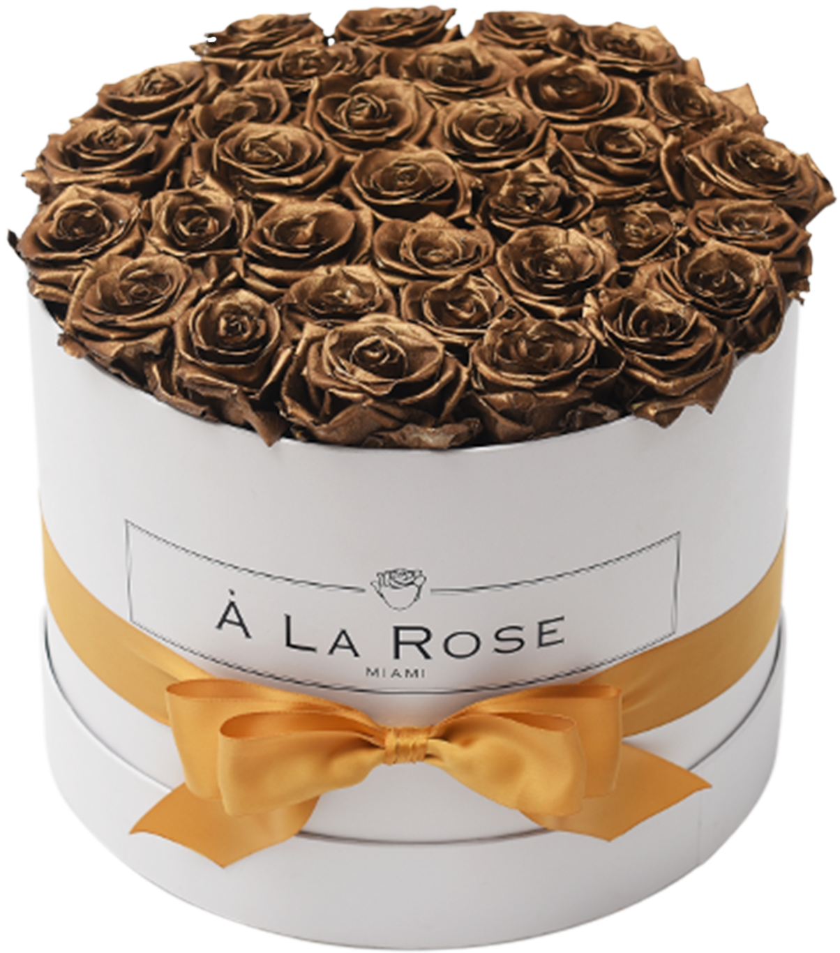 Gold Circle V=1522703316 - Coin (2000x2000), Png Download