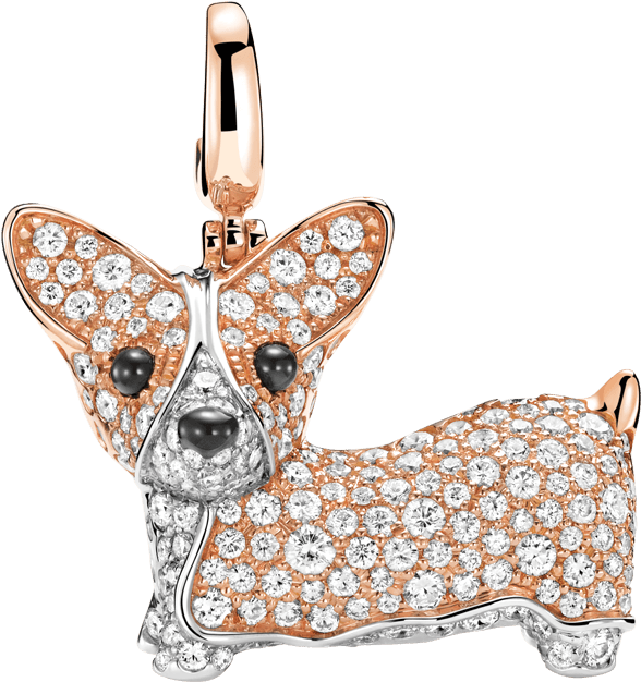 Chihuahua (1600x1600), Png Download