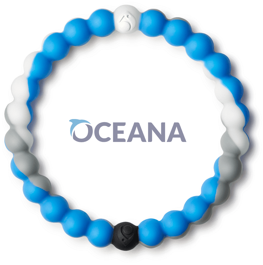 Lokai - Shark Lokai - Red Lokai Bracelet (1080x1080), Png Download
