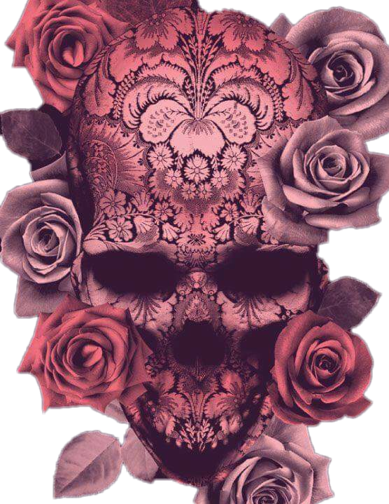 Craneo Sticker - De Calaveras Y Rosas (556x719), Png Download
