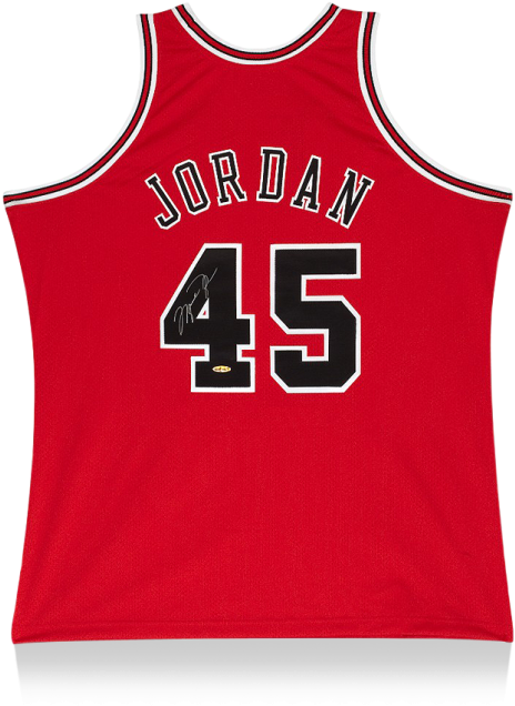Michael Jordan Back Signed Chicago Bulls 1995 Jersey - Michael Jordan Back Of Jersey (650x665), Png Download