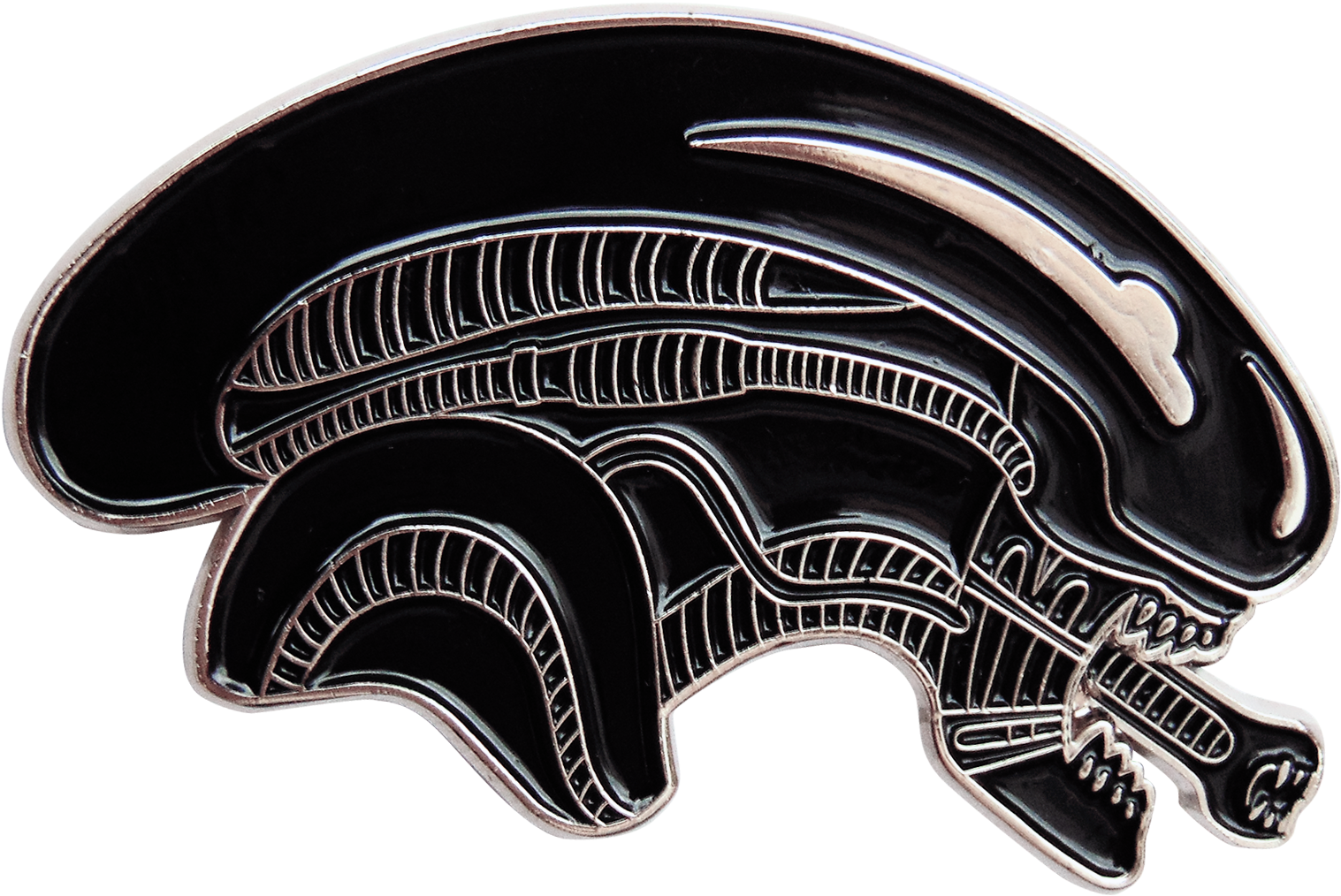 Image Of 8th Passenger Pin - Lapel Pin (1516x1516), Png Download