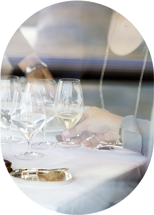 Like Lobster, Fine And Mellow, That He Marinated With - Wine Glass (500x726), Png Download