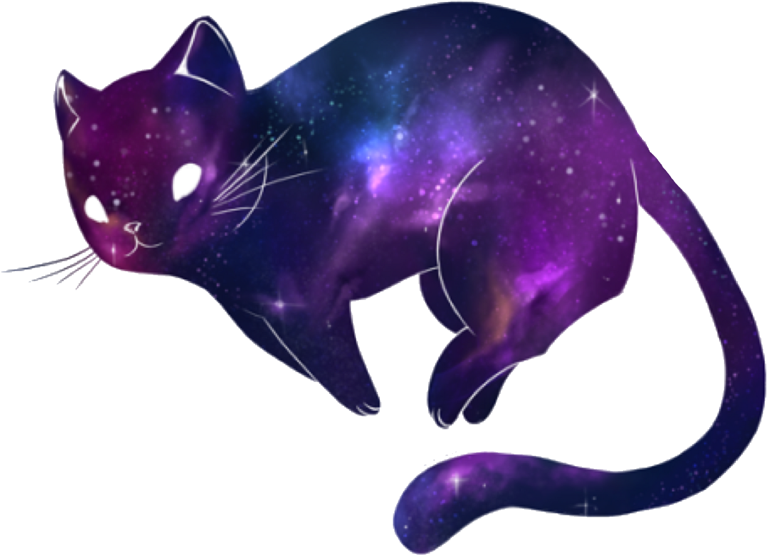 Free download Wallpaper cat roof night galaxy meteor desktop wallpaper Anime  590x400 for your Desktop Mobile  Tablet  Explore 47 Galaxy Cat  Wallpaper  Cat Backgrounds Cat Wallpapers Lol Cat Wallpaper