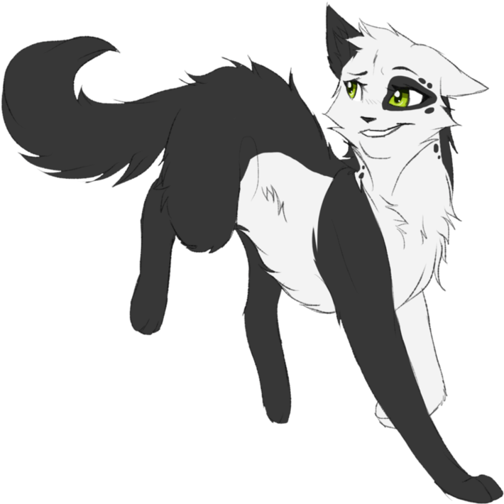 Deviantart Riverspirit456 Black And White Cat (981x815), Png Download