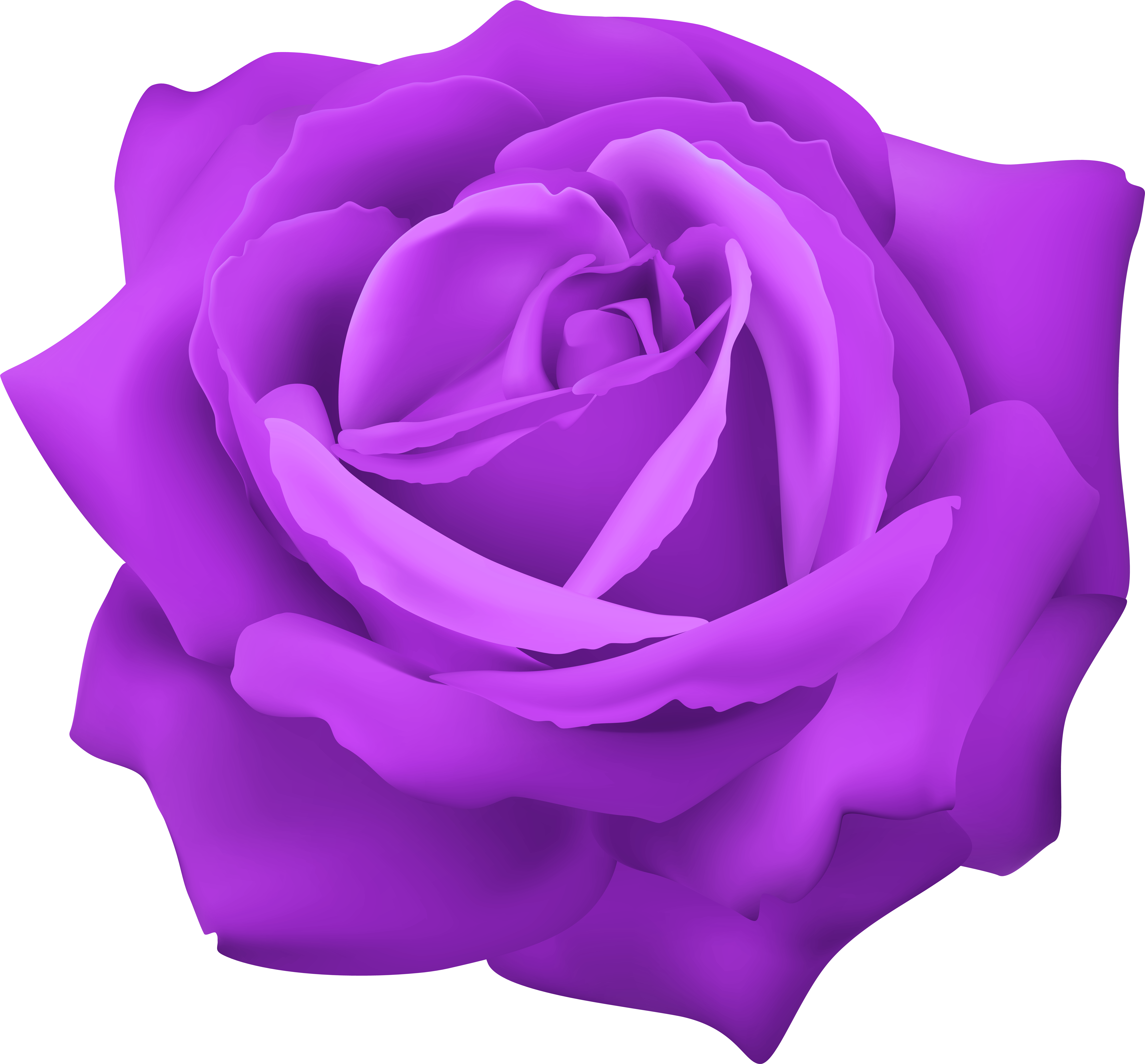Purple Rose Png (8000x7446), Png Download