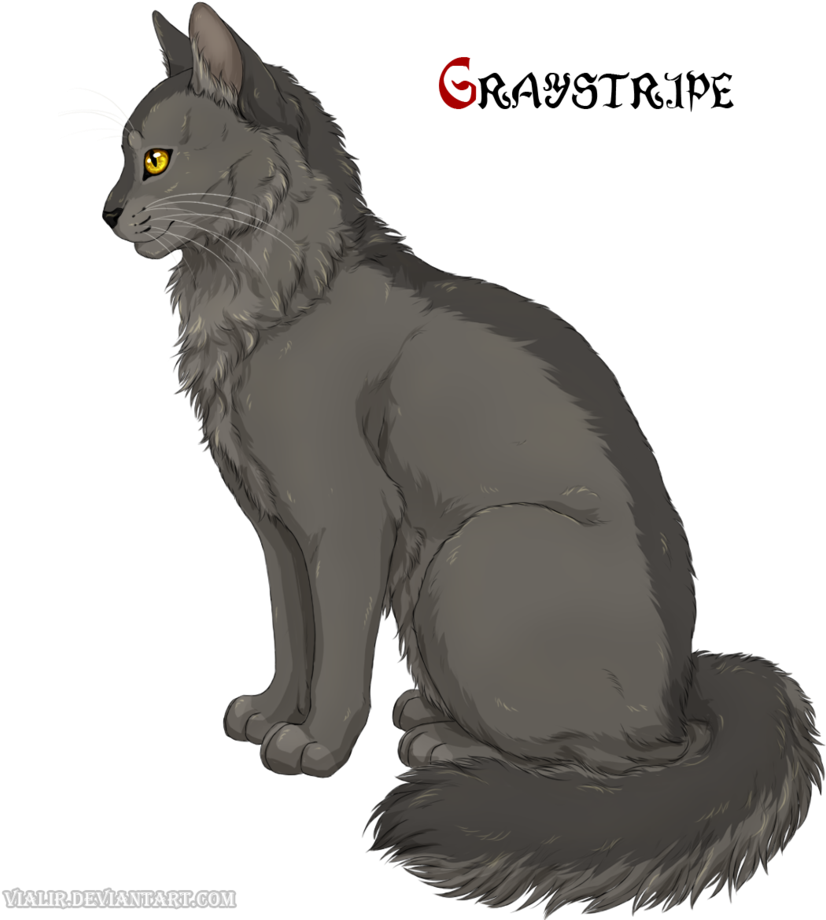 Graystripe From Warrior Cats (864x925), Png Download
