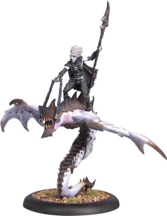 Blighted Nyss Sorceress & Hellion - Hordes: Legion Of Everblight Blighted Nyss Sorceress (649x809), Png Download