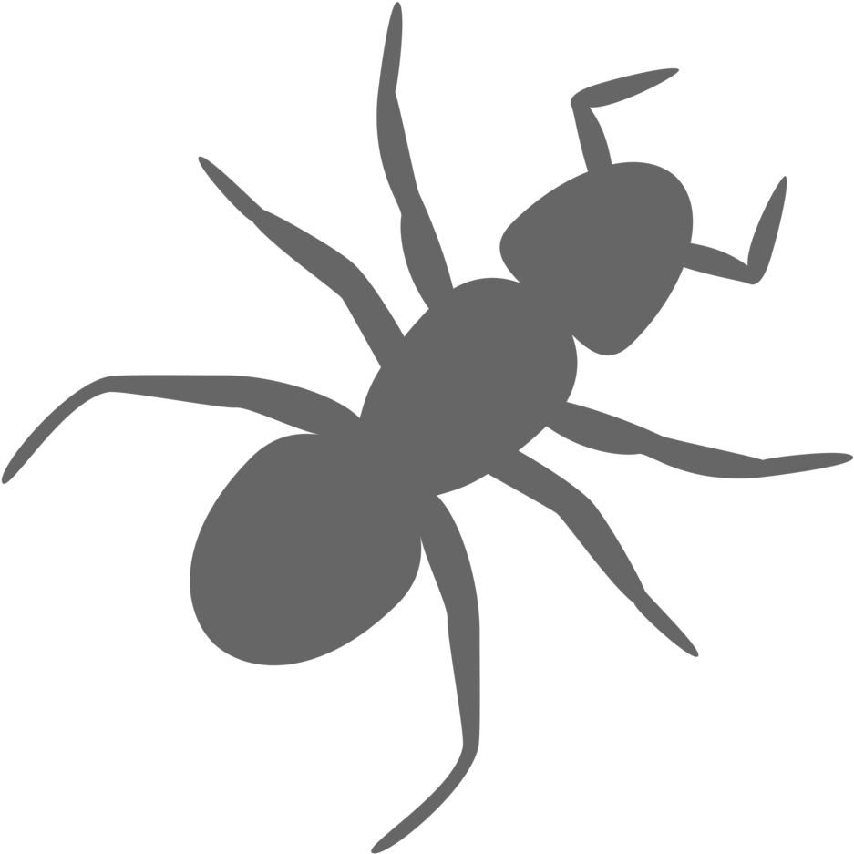 Ants Vector Transparent Background Picture Transparent - Ant Clip Art (958x958), Png Download
