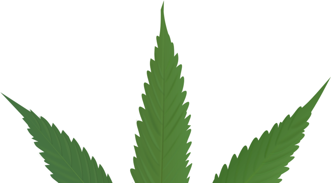 Cannabis Leaf (1200x630), Png Download