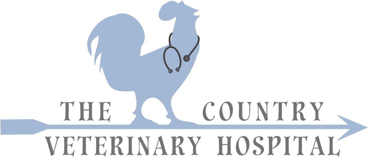 Silver Paw Sponsor - Graphic Design (1260x840), Png Download