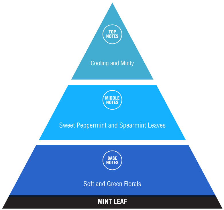 Mint Leaf - Social Classes (782x734), Png Download