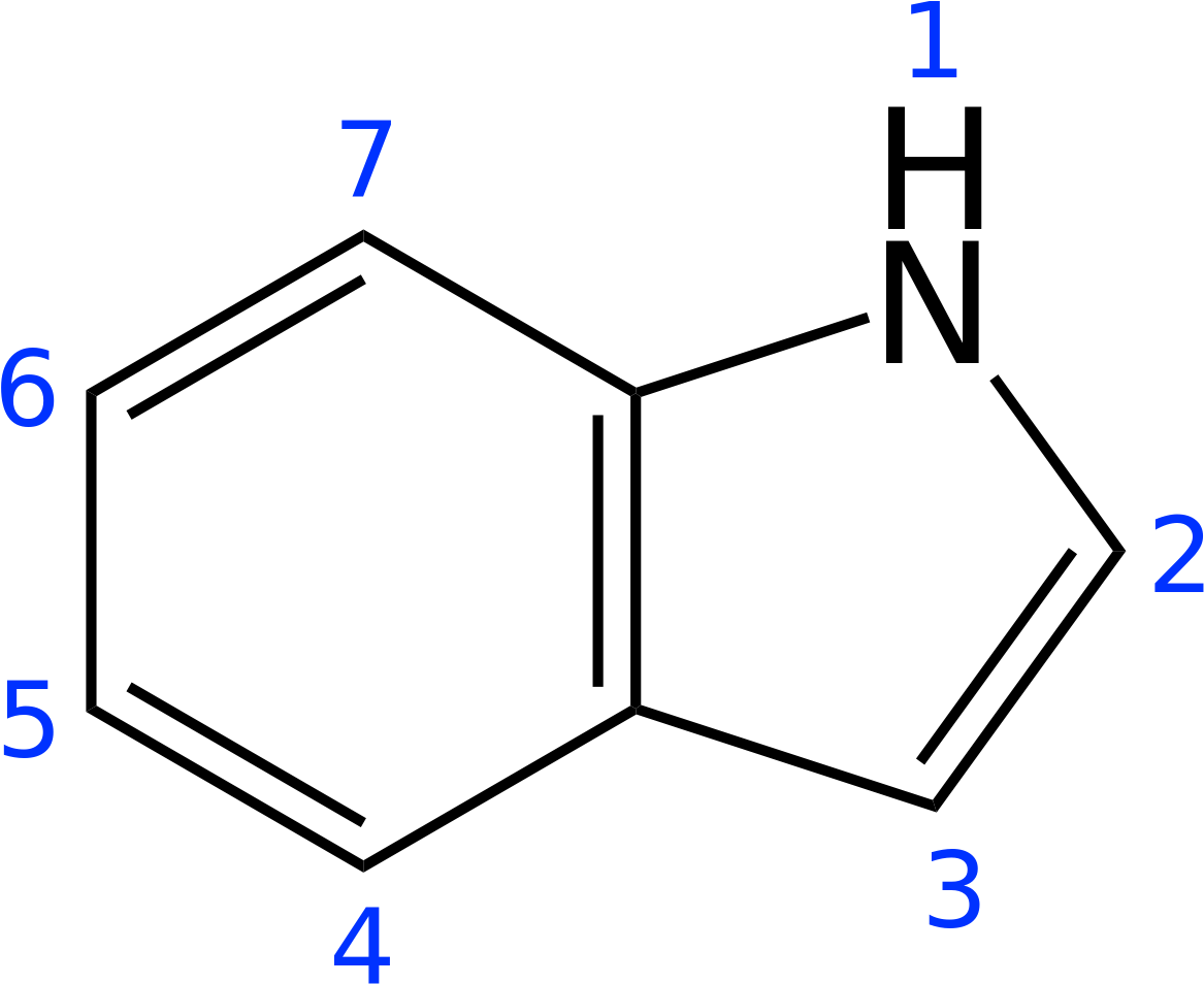 Indole Ring (1200x980), Png Download