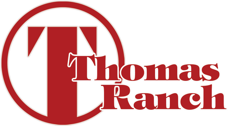 Contact - Tray Card Holder - 3/4"h - Pkg Qty 72 (845x488), Png Download